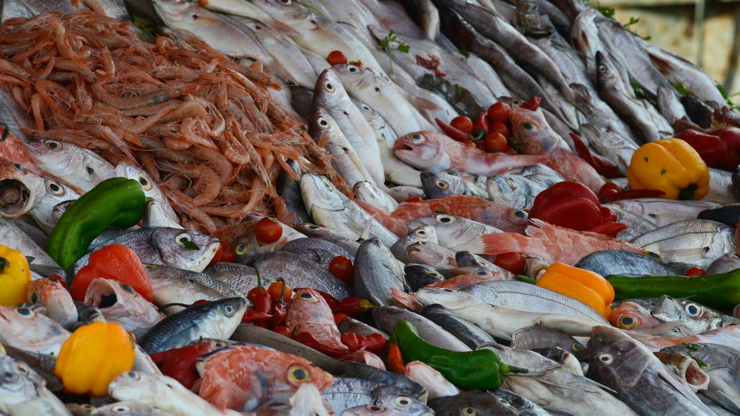 Fresh fish, prawns and vegetables with the colours of Morocco