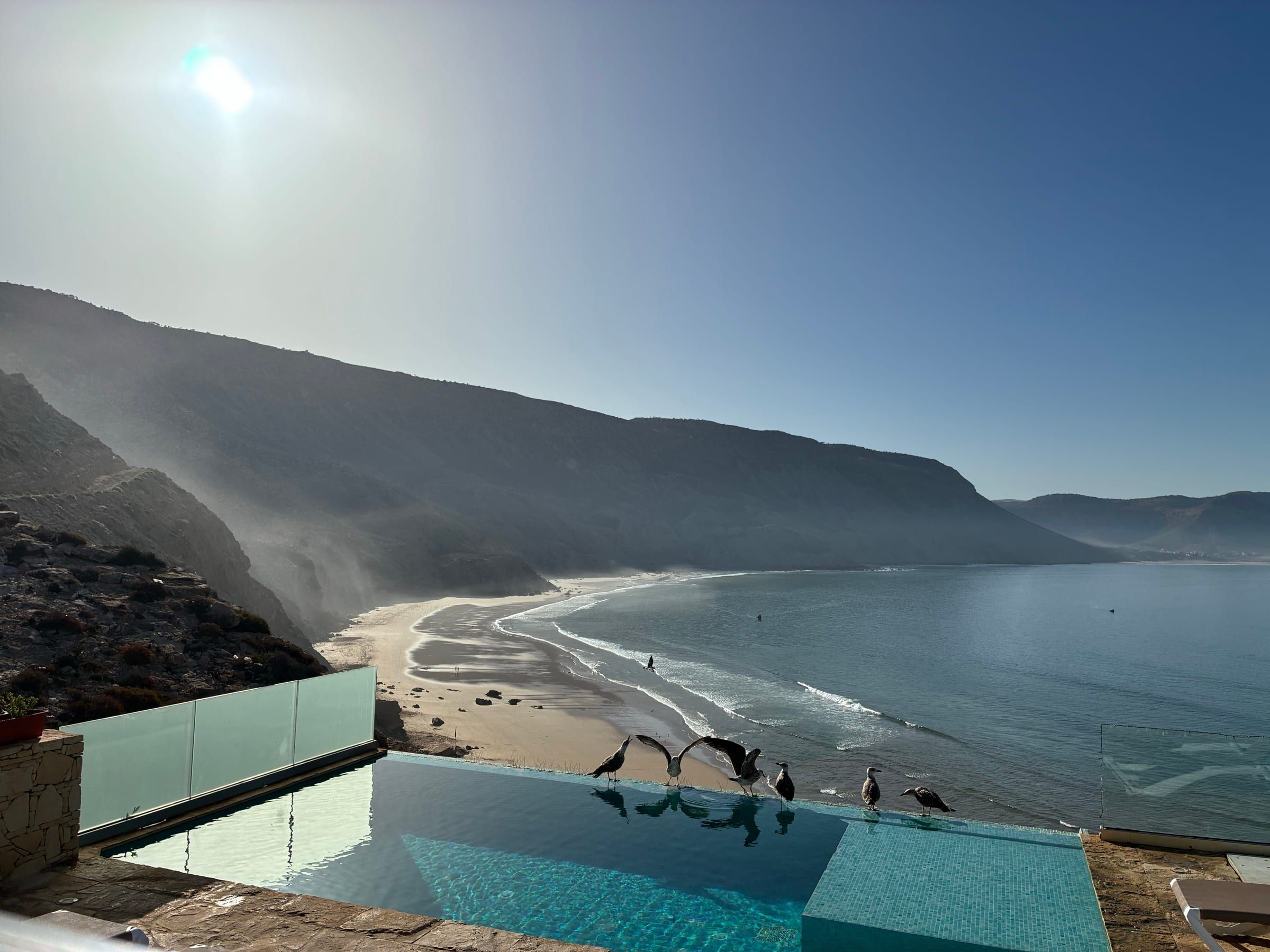 Seagulls on the edge of the infinity pool at dawn, the bay in the mist